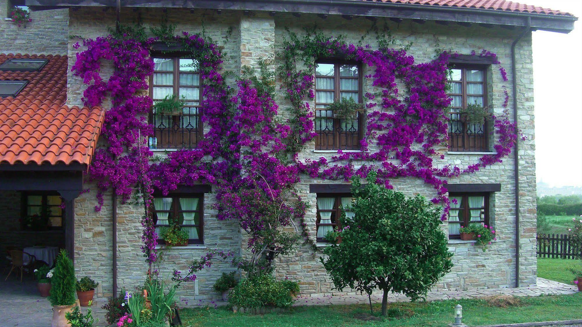 Hotel Rural Casona De Cefontes Dış mekan fotoğraf